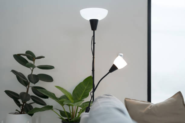 istock Modern interior with floor lamp and green plant 2153031887