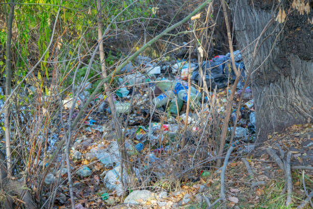 istock Discarded Trash in Forest During Autumn 2153032289
