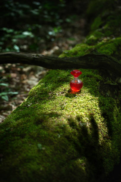 magican potion in glass bottle in summer forest