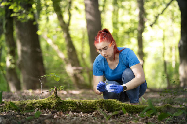 istock A young female biologist scientist taking plant sample 2153036223