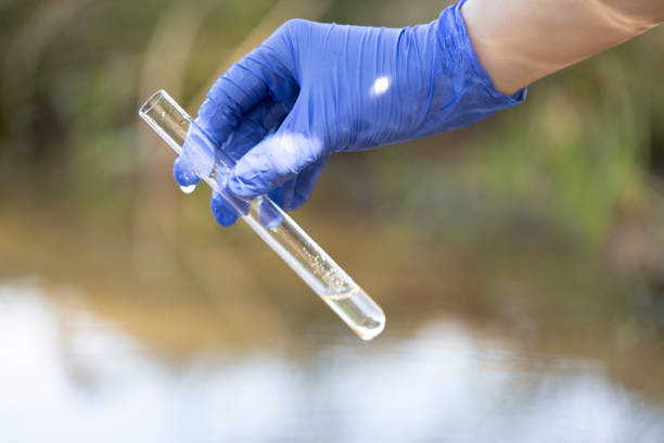 istock A biologist scientist hand in glove taking water sample 2153037705