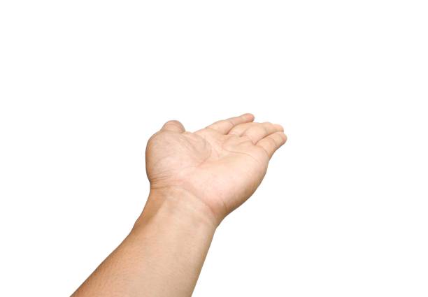 Male hands open and stretched forward on business concept isolated on white background.