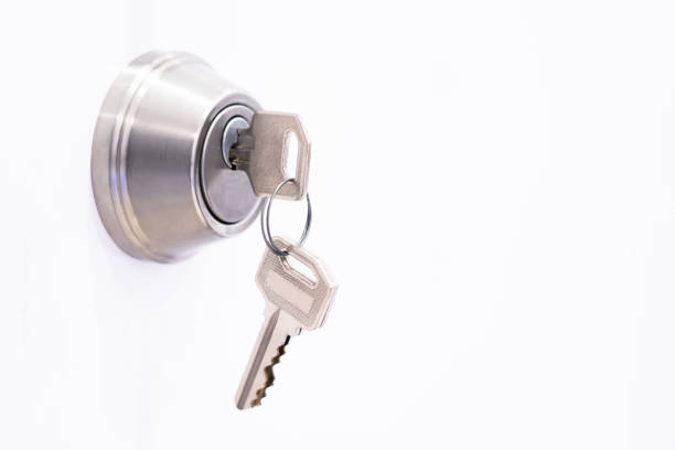 Sleek metal knob on a wooden door in a minimalist setting. Contemporary design element in a clean, bright space.