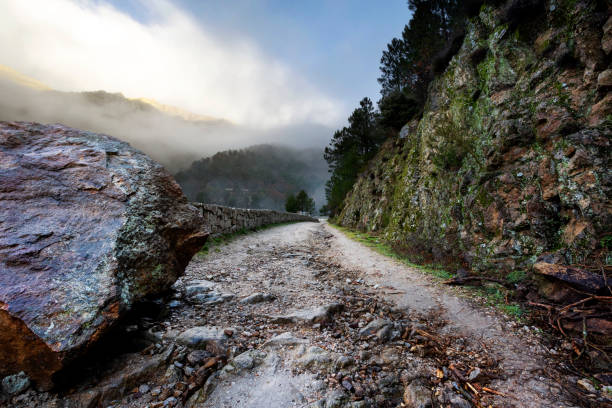 istock Camino hacia la niebla 2153037918