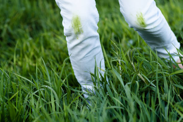 istock Close up dirty grass stains on white clothes. 2153039032
