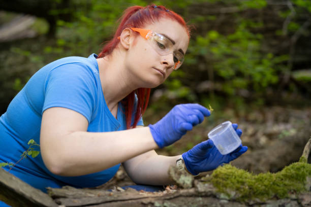 istock A young female biologist scientist taking plant sample 2153039092