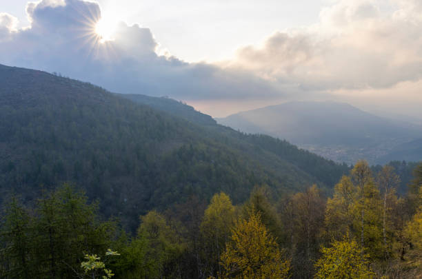 Sunrise through lush forest and misty clouds in springtime