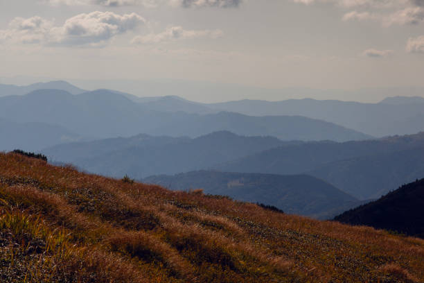 istock Beautiful sunrise with clouds below in Carpathian  mountains, Chornogora 2153052248