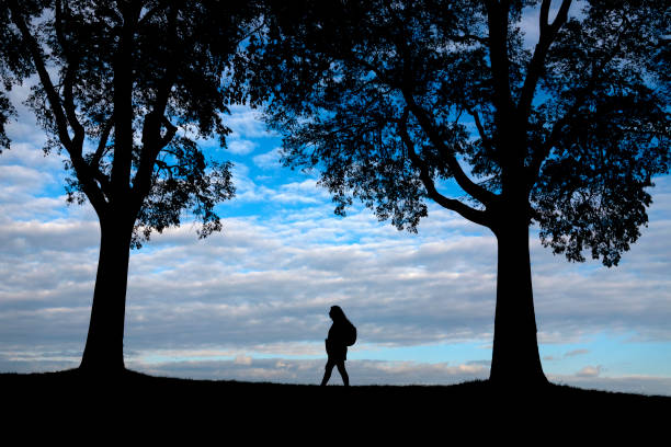 Outdoor portrait of single woman in sunny nature