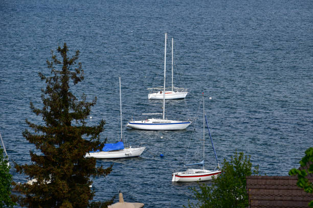 A scenery with some boats floating on the lake