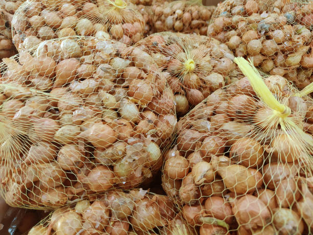istock Onion seeds in a package at a hardware store 2153057786