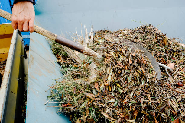 istock man use a shovel to throw plant remains 2153057921