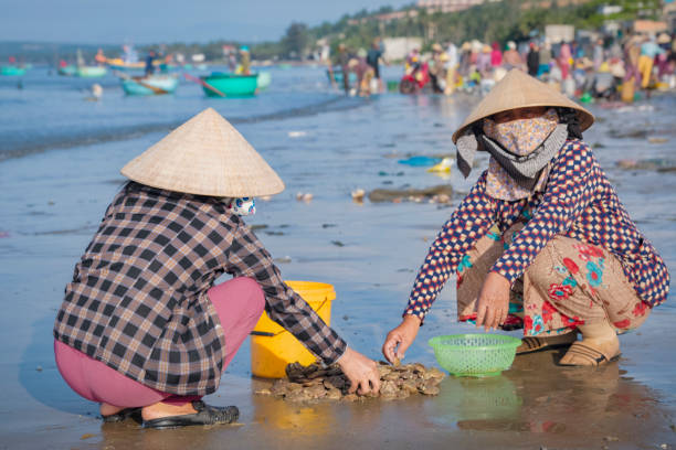 istock Vietnamese women sorting fresh catch, Mui Ne 2153063509