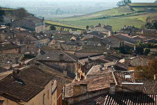 istock Scenery view and vineyards in France 2153064481
