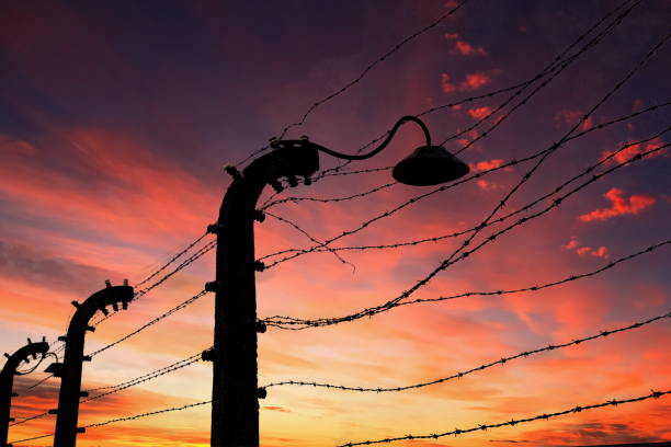 Auschwitz, Poland - May 7, 2024 : The fence of barbed wire in Birkenau concentration camp during sunset. Auschwitz was a complex of over 40 concentration and extermination camps operated by Nazi Germany in occupied Poland during World War II and the Holocaust and is located about 50 km from Krakow.