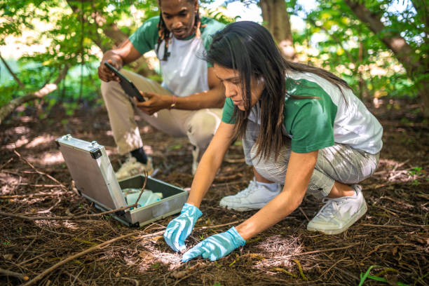 istock Environmental Scientists Conducting Field Research 2153069235