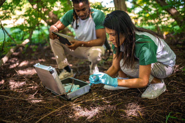 istock Black Male and Hispanic Female Scientists Analyze Earth Samples Outdoors 2153069251