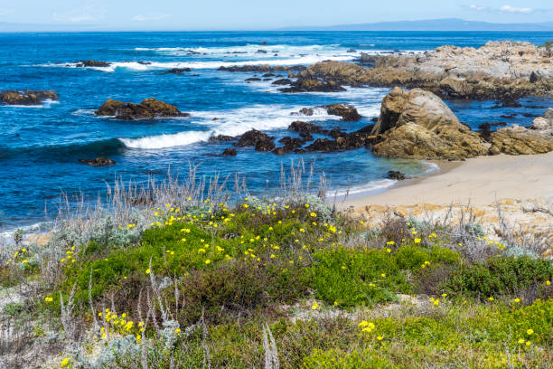 istock Monterey Bay, California, coast on a sunny day. 2153070542