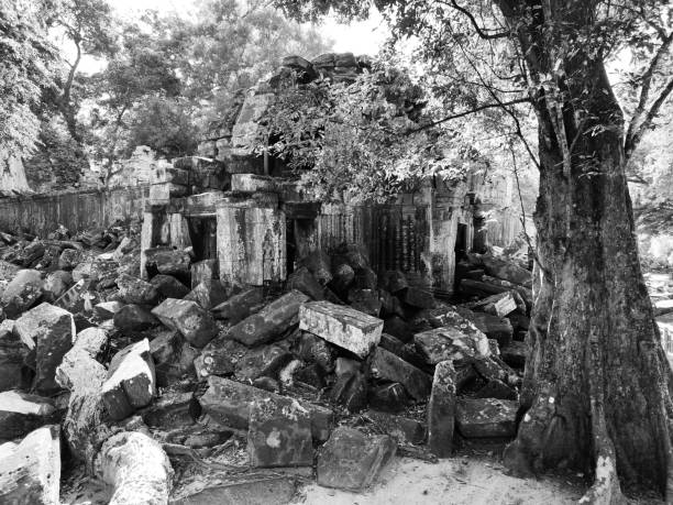 The famous ruins of Ta Prohm temple in Angkor, Cambodia, the largest religious monument in the world by land area.