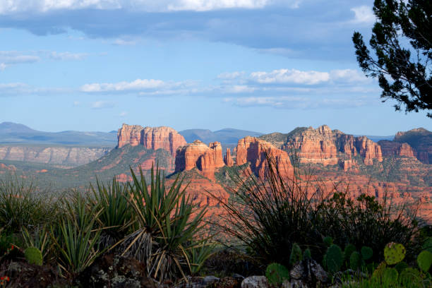Scenci Sedona Arizona