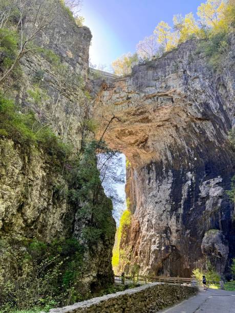 istock Natural Bridge in Early Spring, Virginia 2153074664