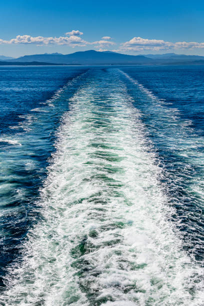 istock on a ferry to Vancouver Island 2153076404