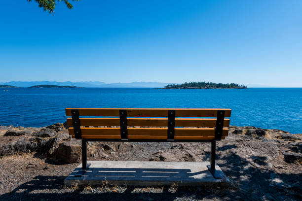 bench near ocean in Canada