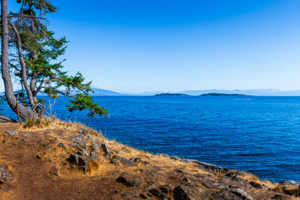 looking to the ocean in Canada. On the other side is Vancouver.