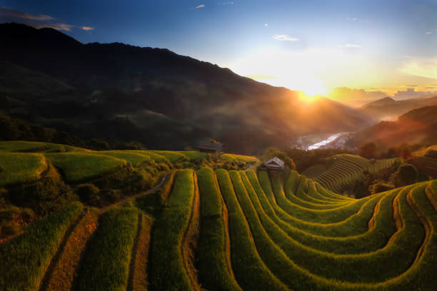 istock Terraced rice field in Mu Cang Chai,Vietnam. 2153078281