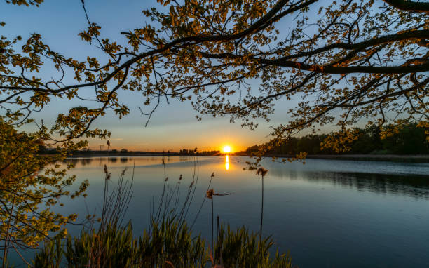 istock Dam between Bezdrev and Cesnovicky cip pond with spring color sunset with trees 2153079478