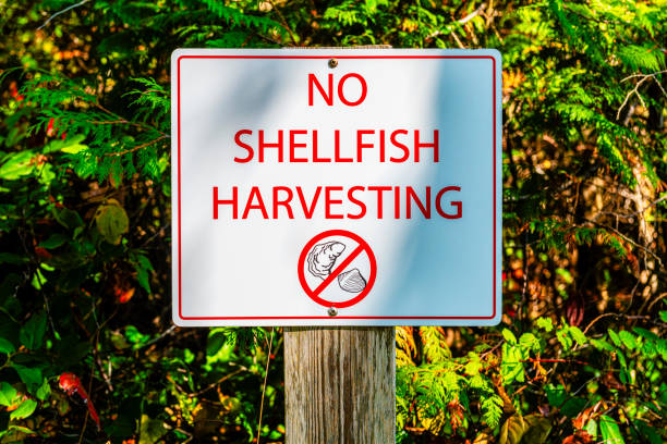 istock no shellfish harvesting sign near the ocean in Canada 2153080798