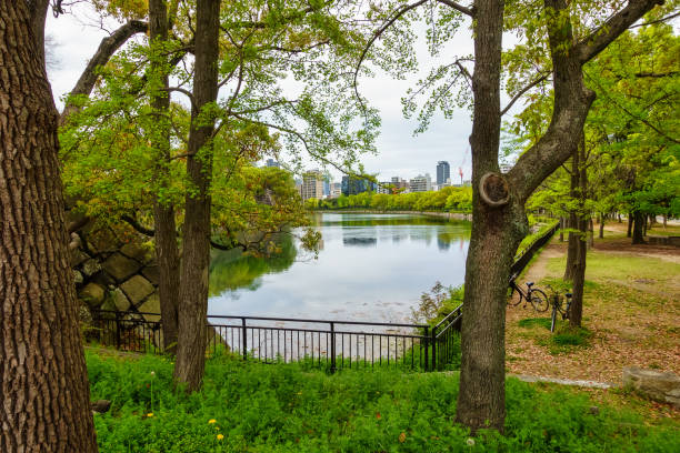istock Public park next to Osaka Castle with a tranquil river and large trees, Osaka, Japan. 2153081371