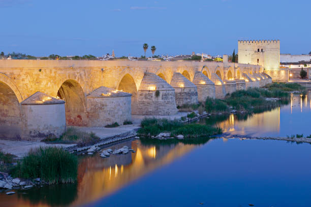Night time view of the roman bridge (Cordoba, Spain).
