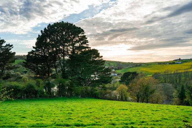 View of Kingsbridge Estuary, South Devon National Landscape, UK