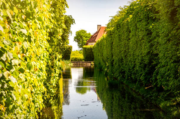 Beautiful green spring park with boxwood and a pond