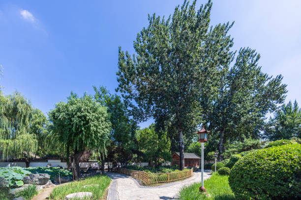 istock Beijing Grand View Garden scenic landscape 2153087742