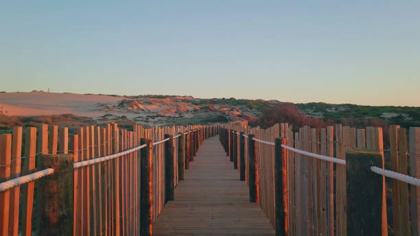 istock Wooden walkway sunset light lead through vibrant sand dunes. Scenic empty pier 2153095275