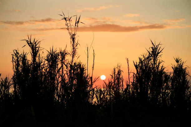 istock A sunset is reflected in the water of a lake 2153096991