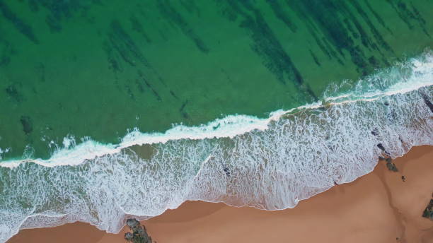 istock Waves softly crashing beach creating foamy surf. Top view turquoise sea waters 2153098915