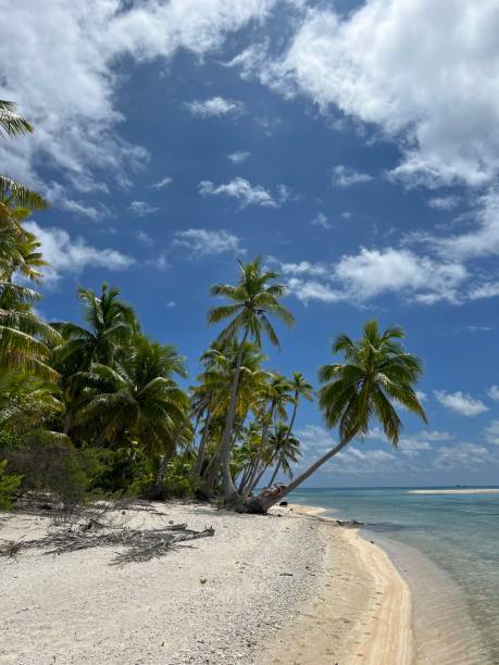 istock Tikehau Atoll Tahiti 2153100035