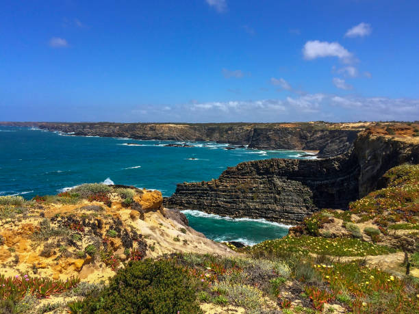 Bright day at a rugged coastline with varied vegetation, overlooking a vibrant blue sea under a clear sky.