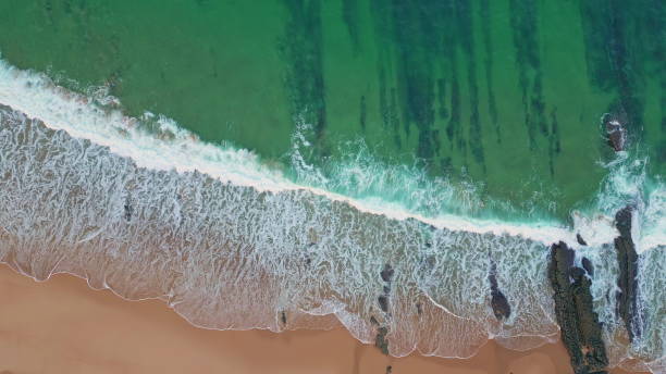Foam waves meeting shore in rhythmic motion. Aerial perspective reveal beach