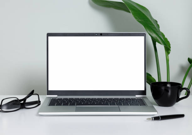 istock Laptop computer on a white desk with a green plant 2153103319