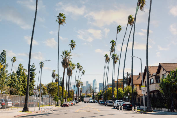 istock High palm trees to Downtown Los Angeles skyscrapers 2153105043