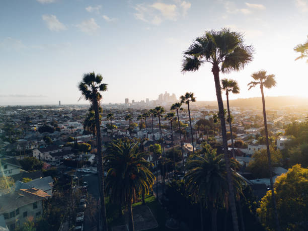 istock Los Angeles cityscape at sunset with palm trees on foreground 2153106394