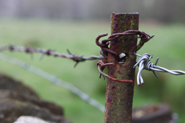 Close up shot of a barbed wire fence erected on top of an old dry stone wall