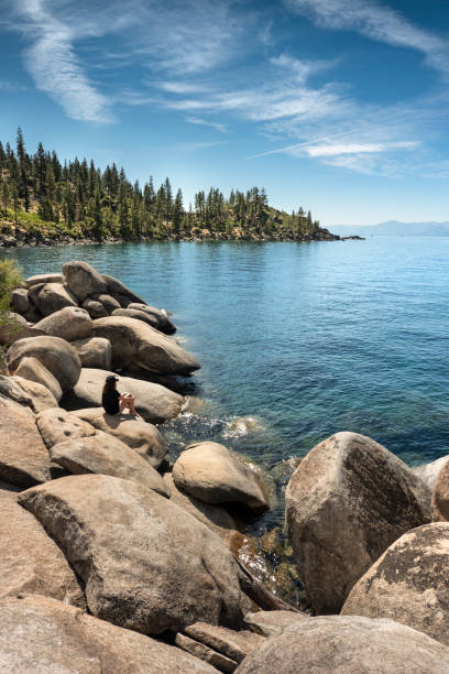 Majestic landscape of crystal blue high attitude Lake Tahoe in Nevada state, USA surrounded by mountains and pine forest in sunny summer day
