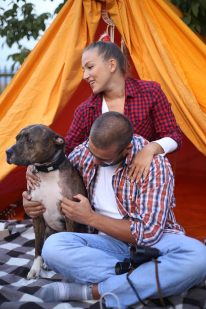 istock Relax in campsite after hard day 2153111321