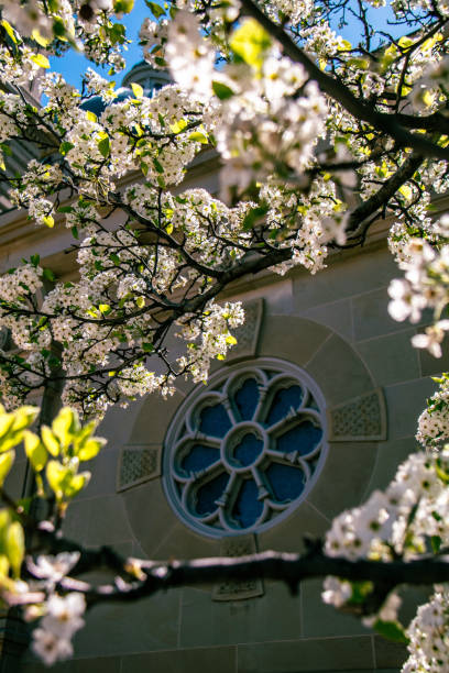istock Basilica of St. Josaphat - 13 2153113092