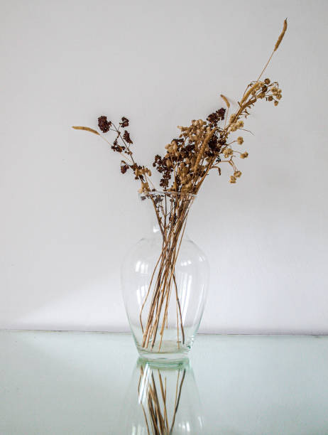 istock White still life with dry herbs and glass 2153114138